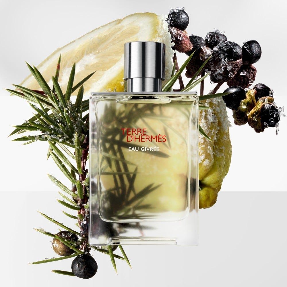 Terre d'Hermès Eau Givrée