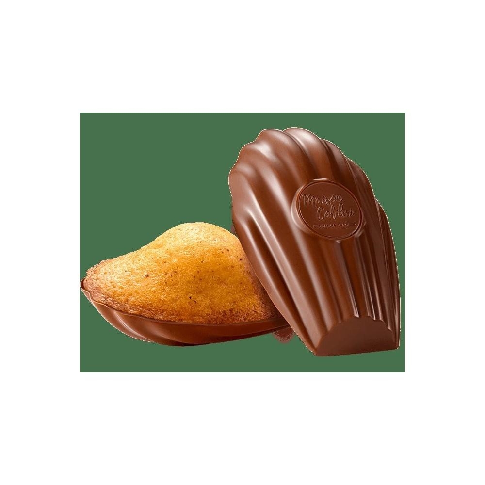 Hazelnut Madeleine With Milk Chocolate Shell