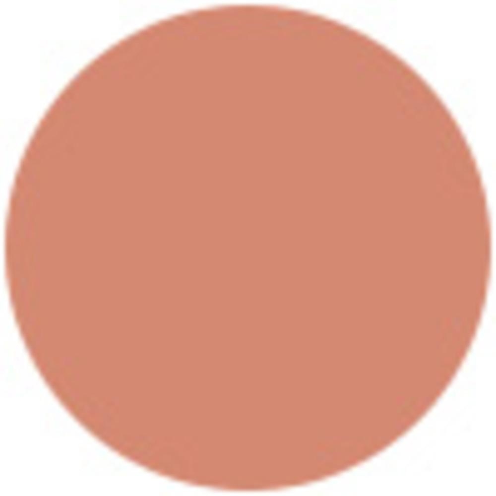 Blush Subtil Powder Blusher