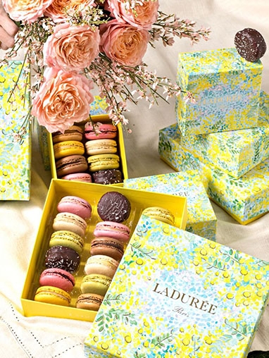 LADUREE 382x508px.jpg