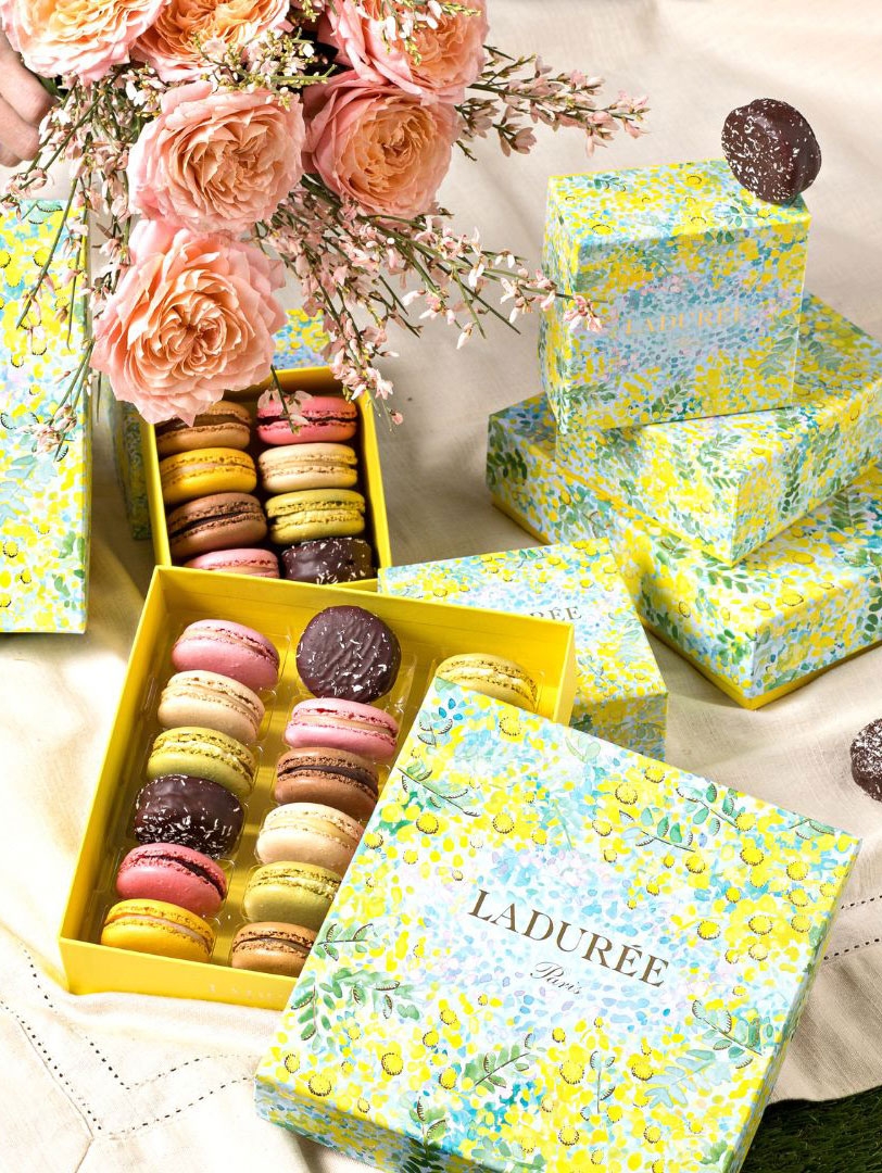 Laduree_lp_382X508.jpg