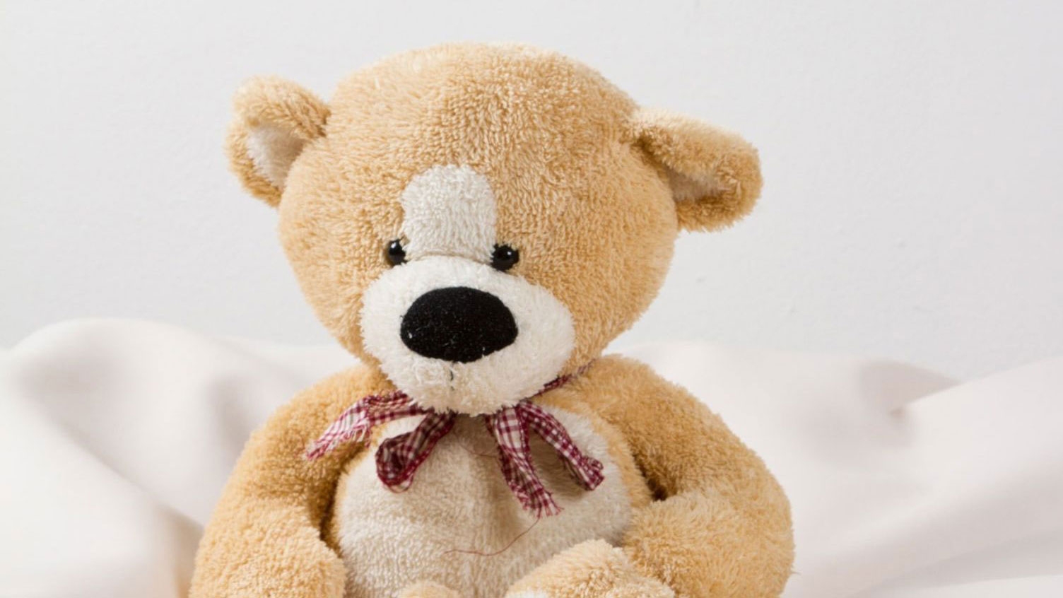Ours en peluche