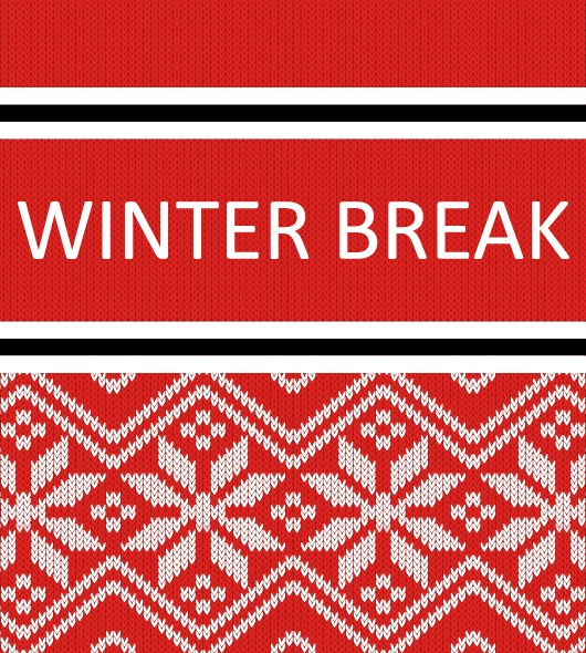 PROMOTE SERVICE 530X590 WINTER BREAK-01.jpg