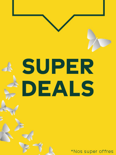 VISUEL SUPERDEALS382x508 VANG.jpg